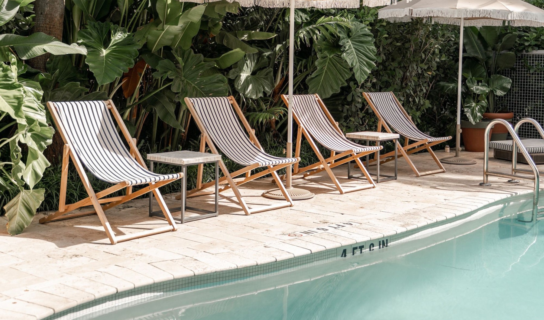 pool with tropical landscape